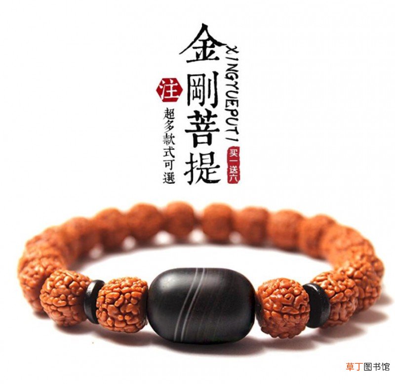星月菩提的寿命多少年