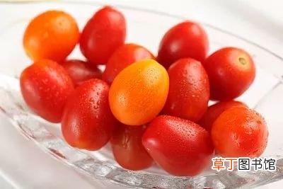 水果之王 谁才是真正的水果之王？