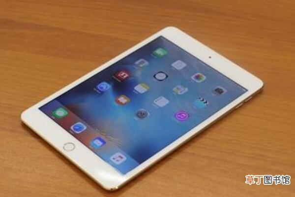 ipadmini 4多大