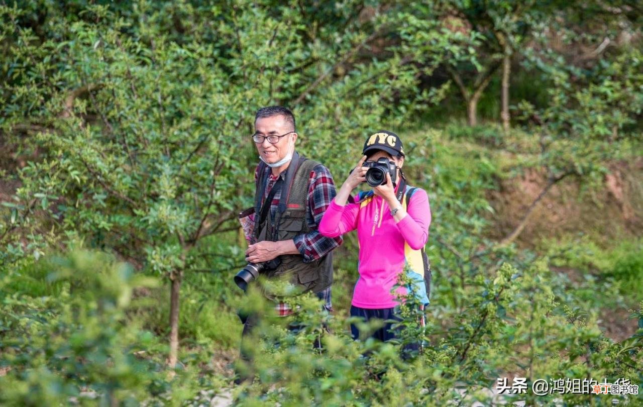 王者最火主播 为什么嗨氏火
