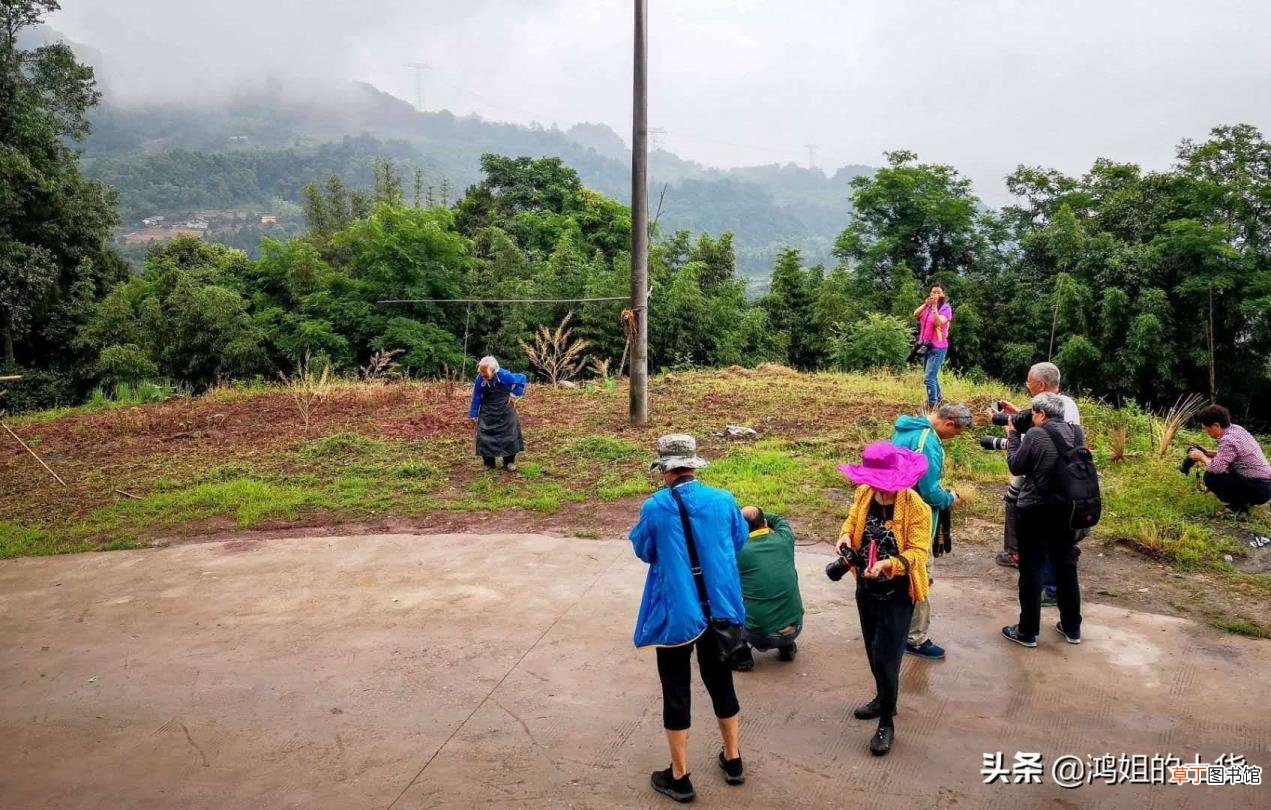 王者最火主播 为什么嗨氏火