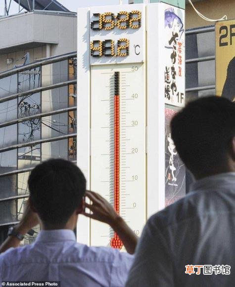 栀子花叶子发黄干枯掉叶子怎么办 栀子花为什么掉花骨朵