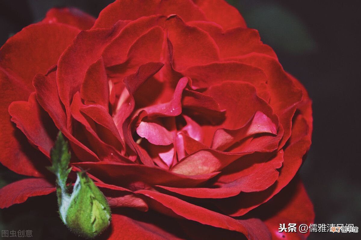关于爱情的散文诗 散文诗：爱情
