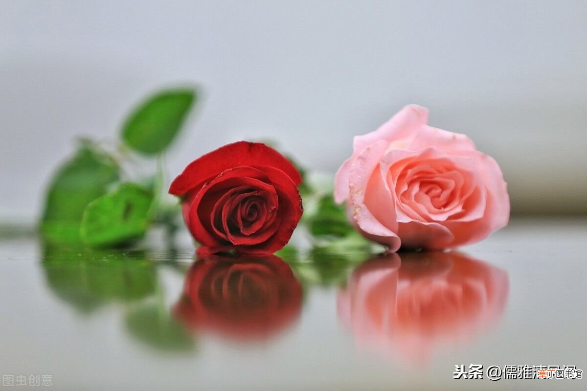 关于爱情的散文诗 散文诗：爱情