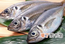 梦见水中有大鱼什么意思