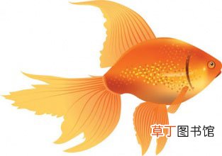 梦见金鱼在鱼缸里游什么意思