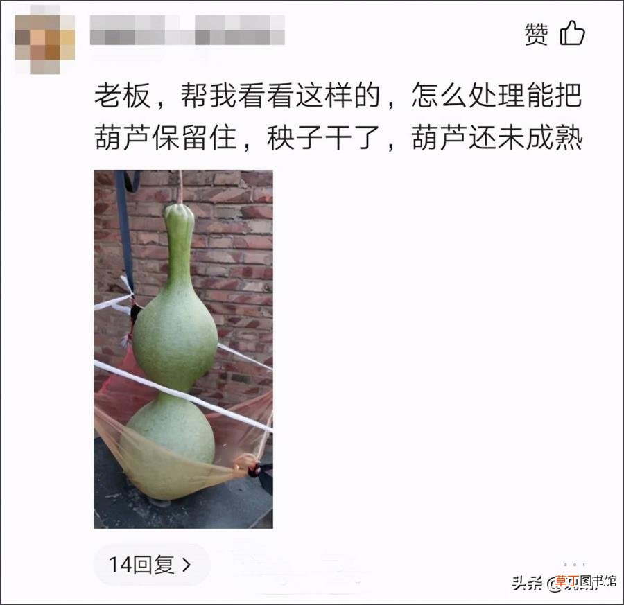 潜伏百度云网盘资源 潜伏为什么不能看了
