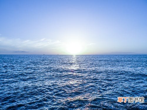 梦到在大海里游泳什么意思