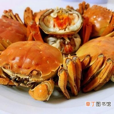 十分钟快手菜清蒸螃蟹 螃蟹怎么蒸好吃又简单