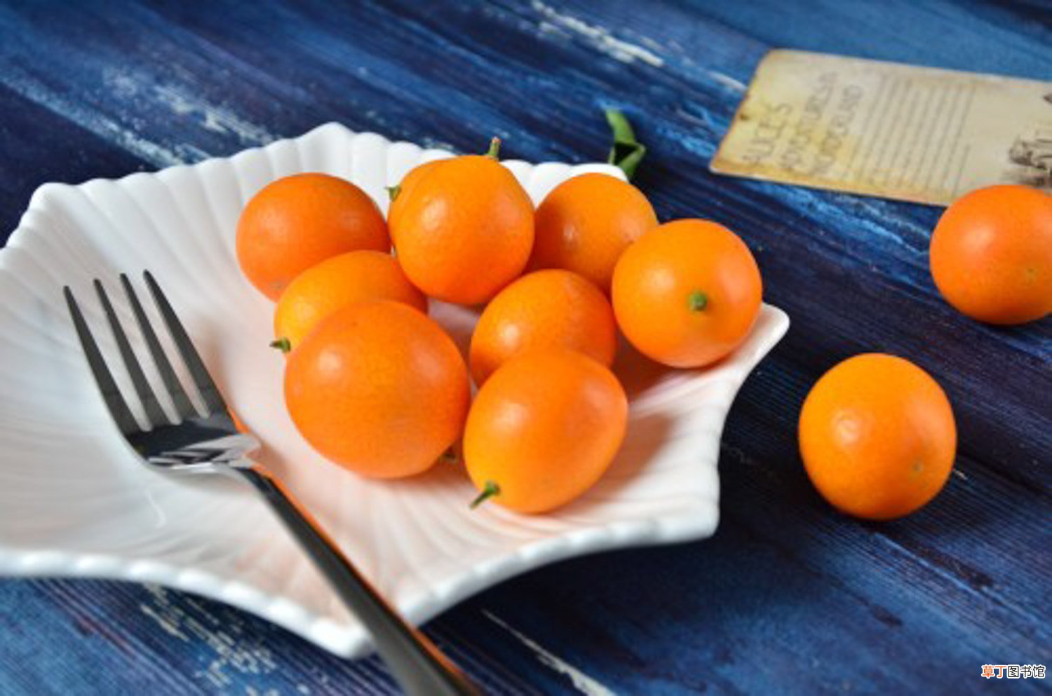 金桔秋天怎么养