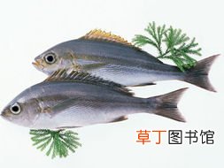 梦见自己捡了很多活鱼什么意思