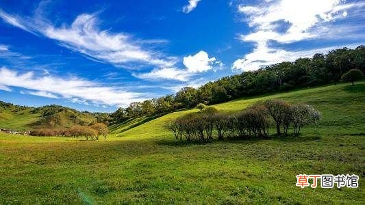 关山牧场旅游攻略 陕西旅游攻略