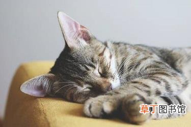 银行利润那么高为什么股价低 为什么银行股价低