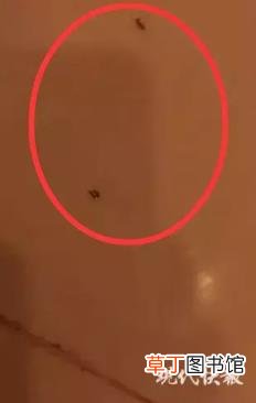 碗口为什么是圆的 车轮为什么是圆形