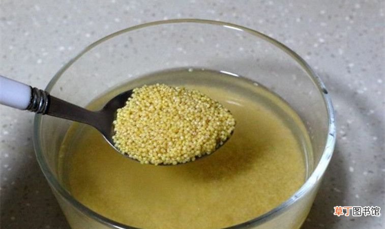 小米粥怎么煮 熬小米粥的正确做法