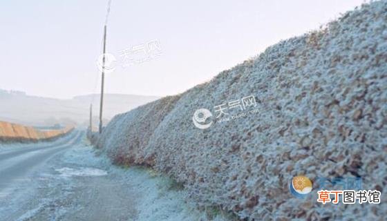呼伦贝尔市雨雪+霜冻侵袭 今起三天内蒙古降雨频繁
