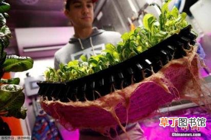 为什么吃菜一直感觉苦的 为什么吃东西是苦的