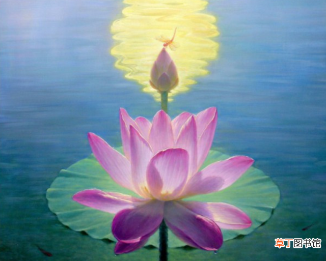 中国的国花? 中国最新十大国花排行出炉?