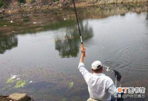 钓鱼鱼不咬钩怎么办 鱼为什么不咬钩