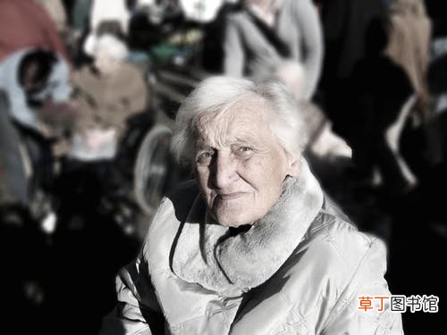 梦见长了白头发什么意思