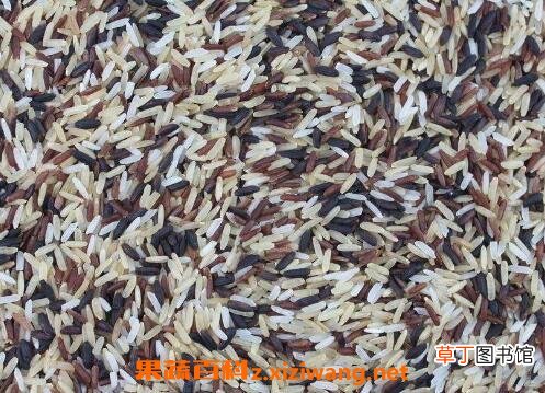 怎么保存米 如何保存米不生虫