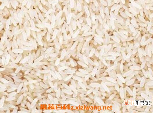 怎么保存米 如何保存米不生虫