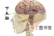 体温长期偏高但无症状 为什么体温偏高