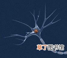 体温长期偏高但无症状 为什么体温偏高