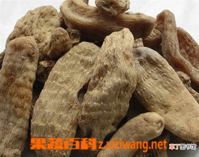 天麻怎么吃效果最好 天麻吃法技巧