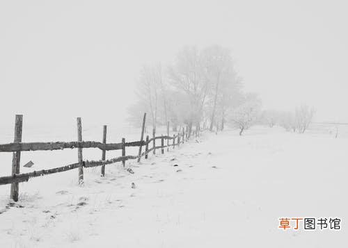 女人梦到夏天下雪什么意思