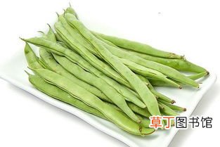 女人梦见在地里摘豆角什么意思