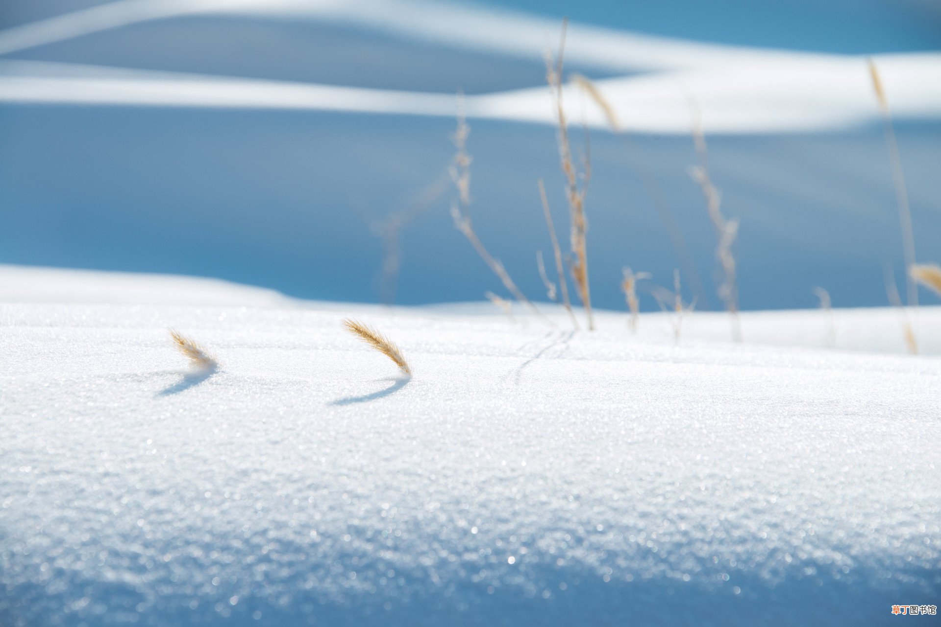 做梦梦到雪是什么意思