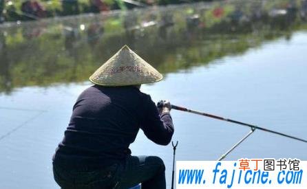 黑坑盘老板出自哪 黑坑盘老板啥梗什么意思