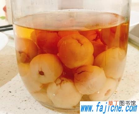荔枝泡酒可以用二锅头吗 荔枝泡酒可以用黄酒吗