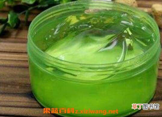 芦荟胶如何用 芦荟胶的正确用法