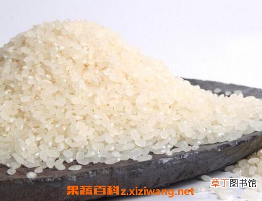 粳米和大米的区别 粳米和大米的食用禁忌