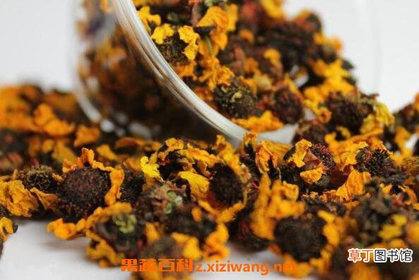 雪菊的功效与作用有哪些 雪菊的食用方法