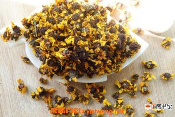 雪菊的功效与作用有哪些 雪菊的食用方法