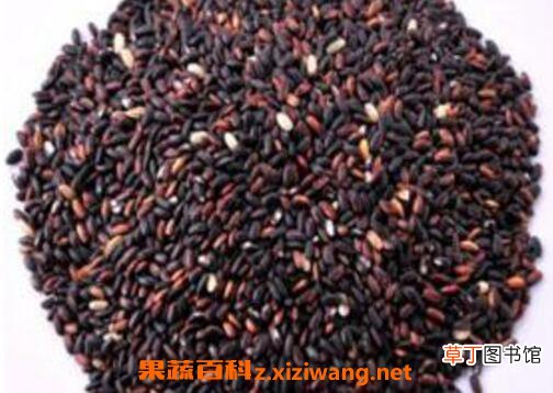 血糯米的功效与作用