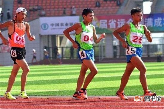 竞走是什么