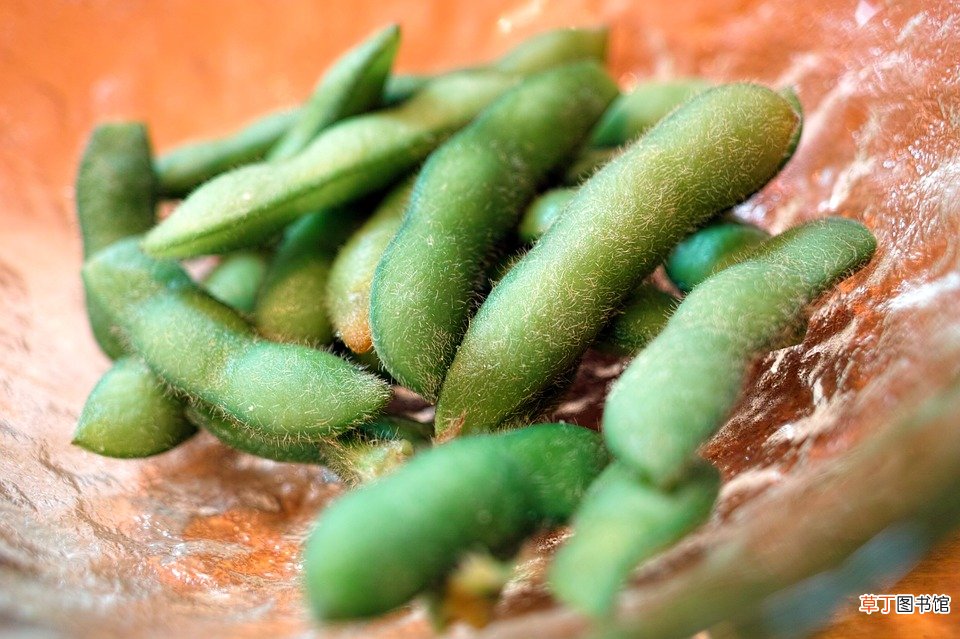 梦见饱满的青毛豆什么意思
