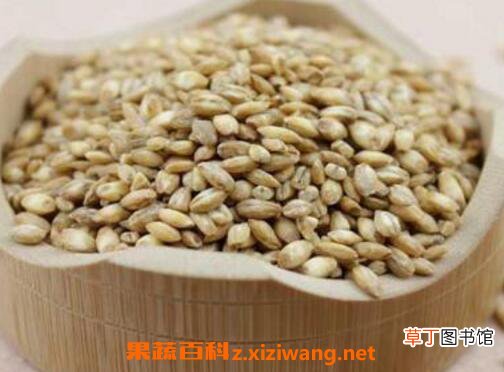 浮小麦的功效与作用及食用方法