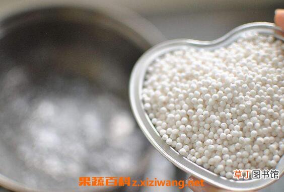 西米的功效与作用 西米的食用禁忌