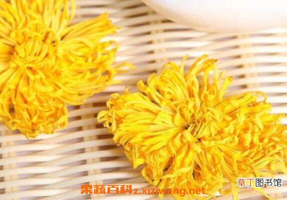 金丝皇菊的功效与作用 金丝皇菊的食用禁忌
