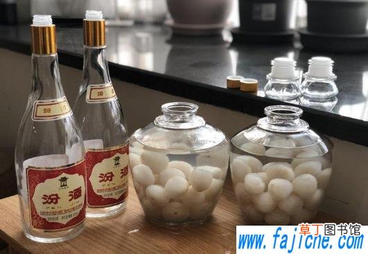 荔枝泡酒的过程中要不要摇晃 泡荔枝酒中途需要摇晃吗