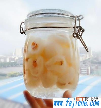 荔枝泡酒的过程中要不要摇晃 泡荔枝酒中途需要摇晃吗