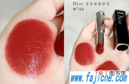 迪奥黑管漆光唇膏748上嘴试色 Dior唇膏夏季限定新色748好看吗