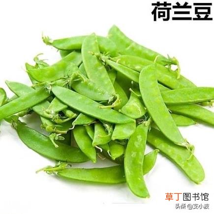 人们常把荷兰称为什么 荷兰称为什么之国