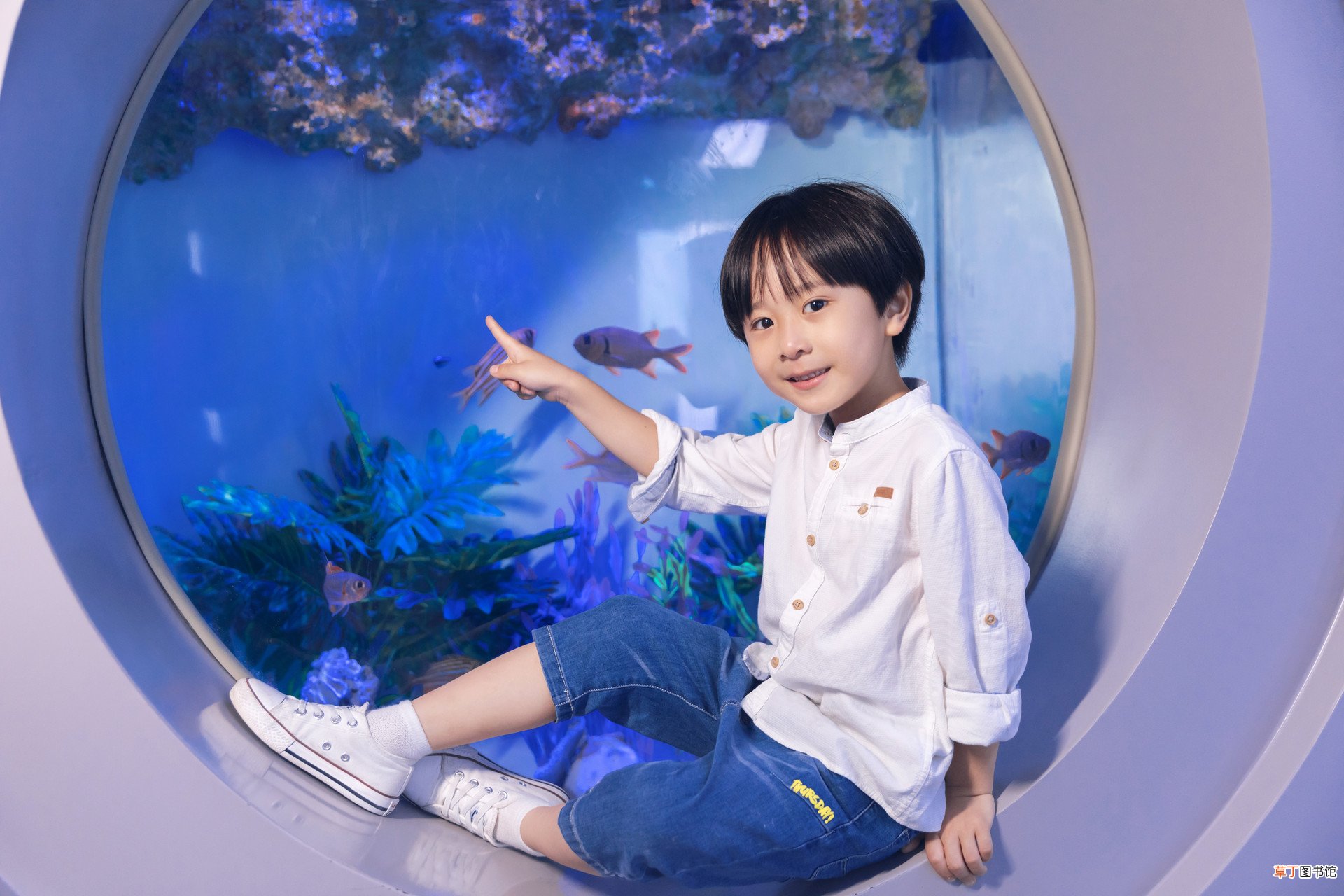 梦见自己嫂生个儿子什么意思
