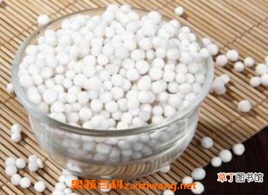 怎么煮西米 西米怎么煮又快又好
